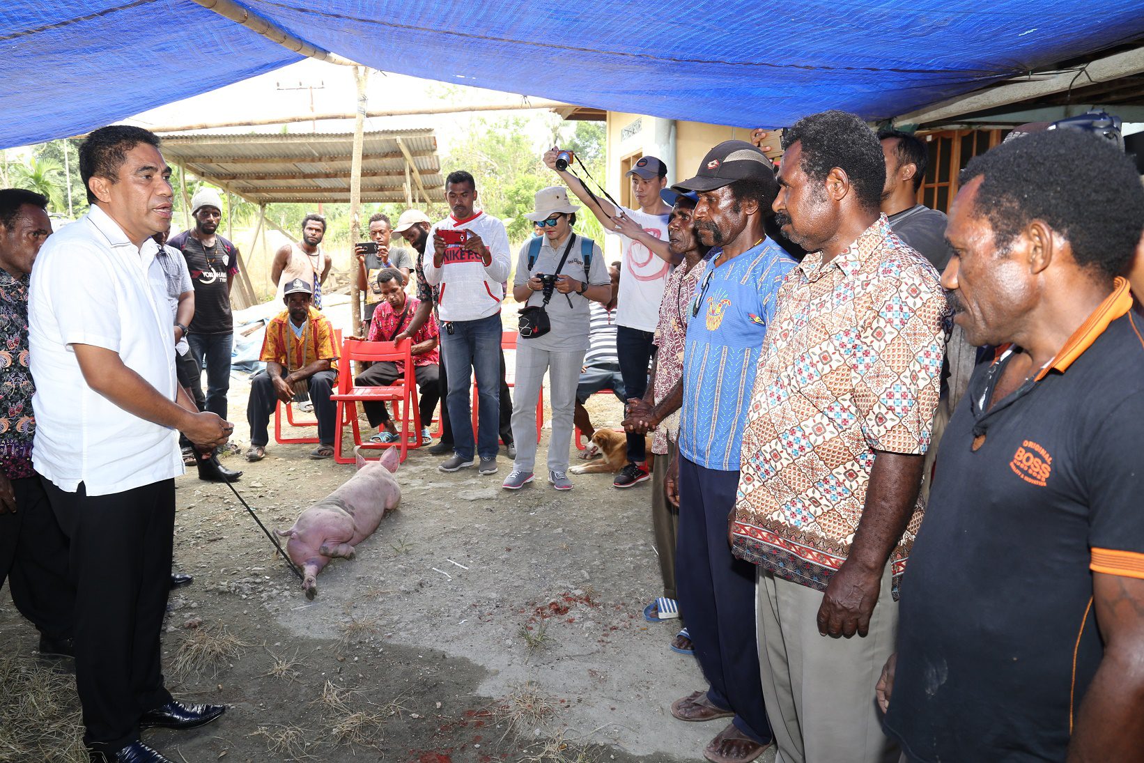 Tiga Kelompok Usaha di Keerom Terima Bantuan Ternak Dari Pemprov Papua