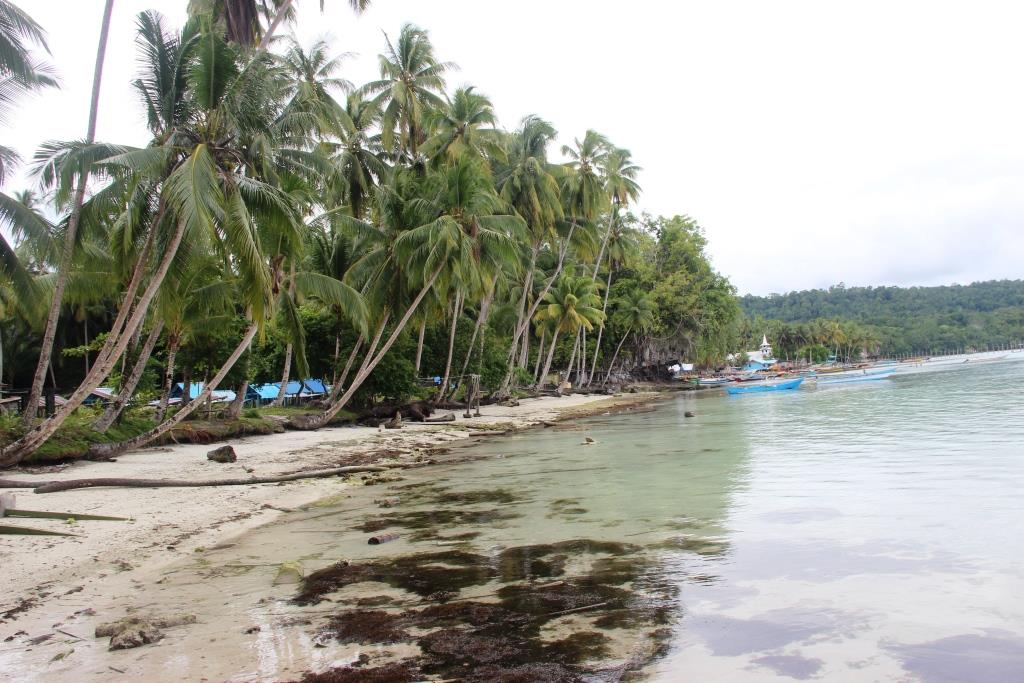 Dari 427 Kampung KB di Papua, Binyeri Terpilih Jadi Percontohan
