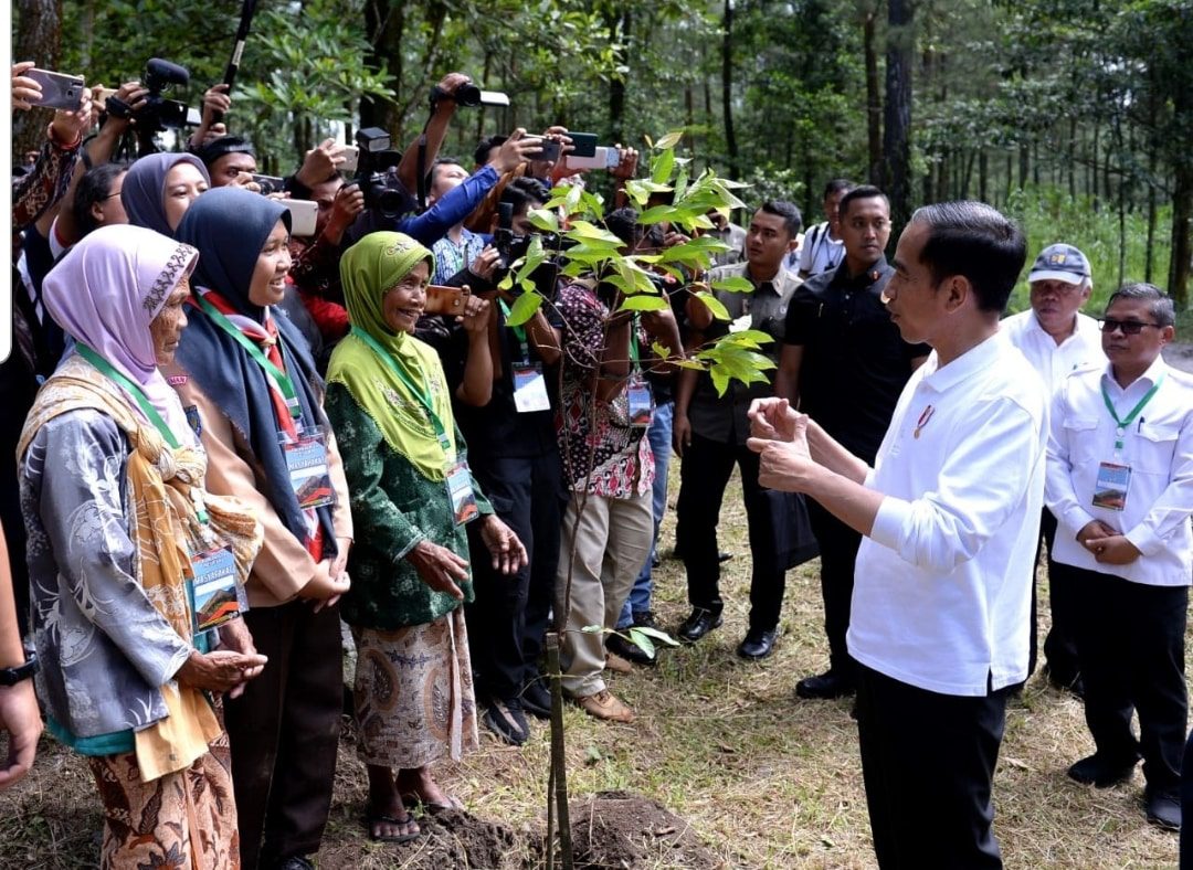 Sambangi Taman Nasional Gunung Merapi, Presiden Dorong Upaya Pelestarian Lingkungan