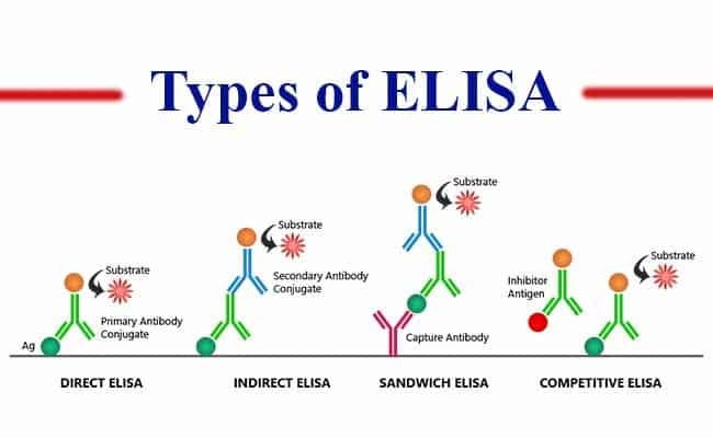 Keunggulan ELISA Untuk Survey “Serologi” Infeksi  Virus Corona