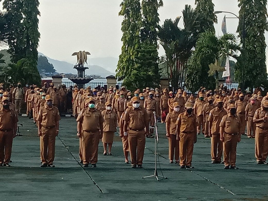 Pengumuman Hasil Seleksi CPNS 2018 Provinsi Papua Belum Jelas