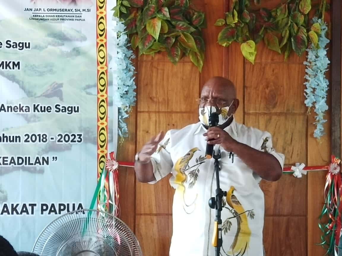 Satgas Covid-19 Papua Akan Aktif Awasi Tempat-tempat Wisata
