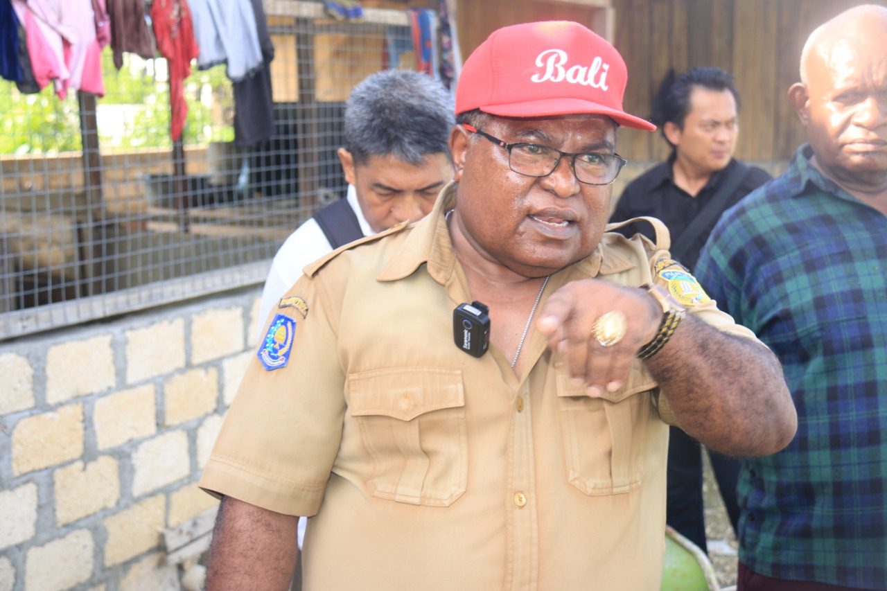 Dinas Pertanian dan Pangan Papua Dorong Pengembagan Sentra Pertanian MKPTI