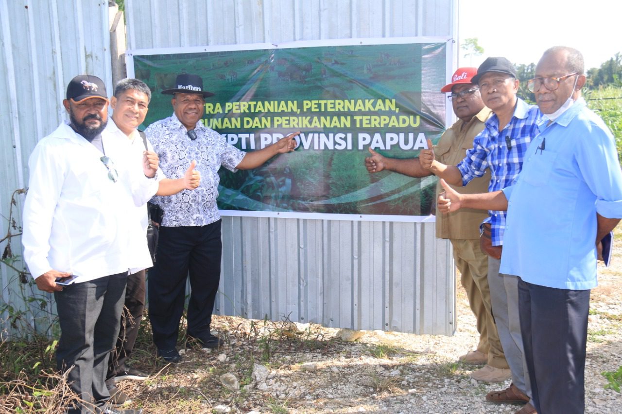 BP3OKP Dukung MKPTI Papua Tingkatkan Ekonomi OAP Lewat Pertanian