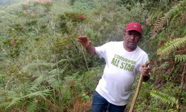 Bupati Spei Bidana Rela Lewati Bukit Terjal Belasan Kilometer Untuk Ikut Penguburan Ayahnya