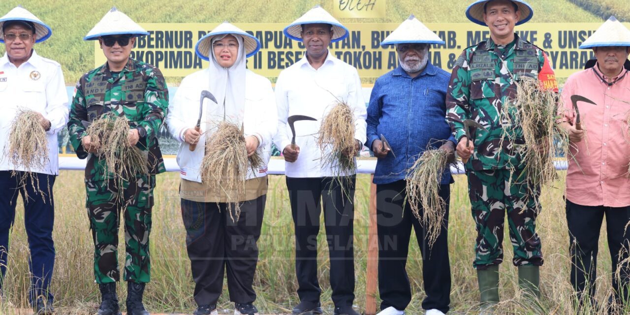 Gubernur dan Wagub Papua Selatan Panen Raya Padi di Kampung Kaliki