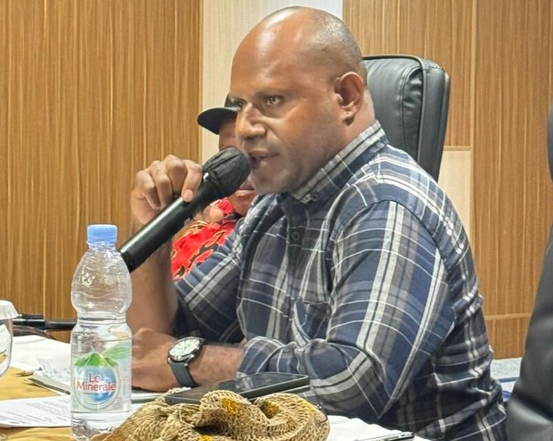 Intelektual Jayawijaya Ini Dukung Gubernur John Tabo Perjuangkan DBH Freeport Untuk Papua Pegunungan