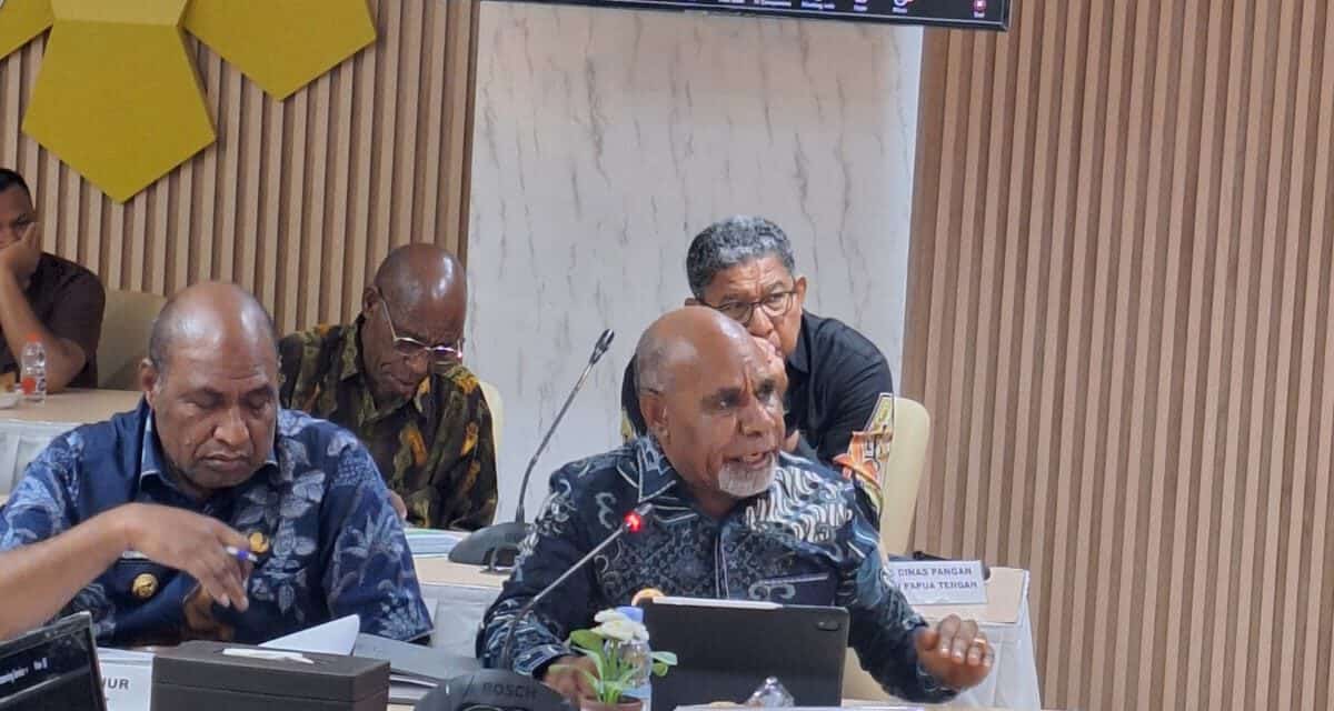 Wagub Deinas Geley: Subsidi Pesawat Solusi Tekan Harga Pangan di Wilayah Terisolir di Papua Tengah
