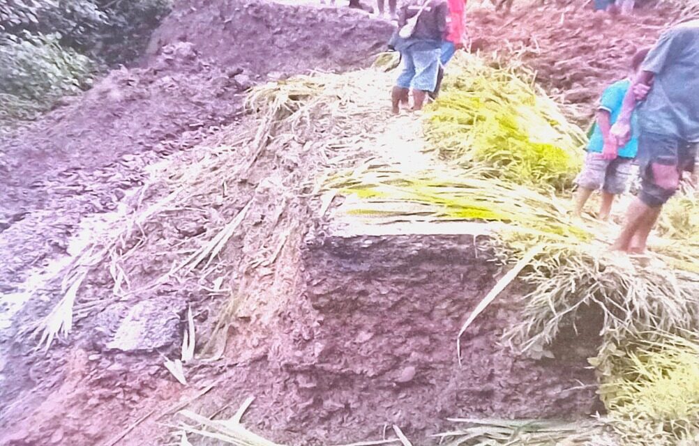 459 Keluarga di Tolikara Terdampak Banjir dan Longsor, Pemerintah Tetapkan Status Darurat Bencana