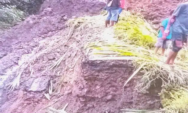 459 Keluarga di Tolikara Terdampak Banjir dan Longsor, Pemerintah Tetapkan Status Darurat Bencana