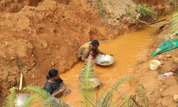 Melihat Potret Eksplorasi dan Eksploitasi Emas di Papua
