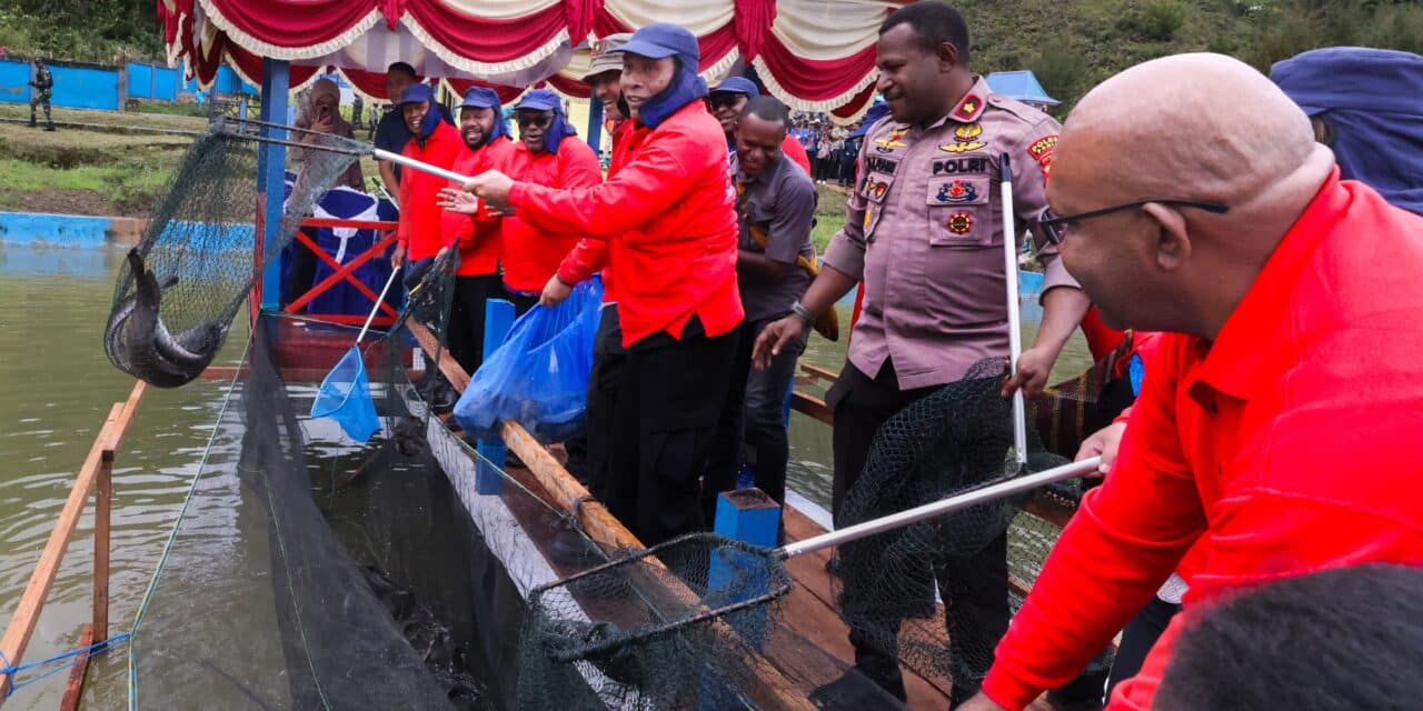 Panen Raya Ikan di Paniai, Gubernur Meki Nawipa Gagas Festival Ikan Air Tawar