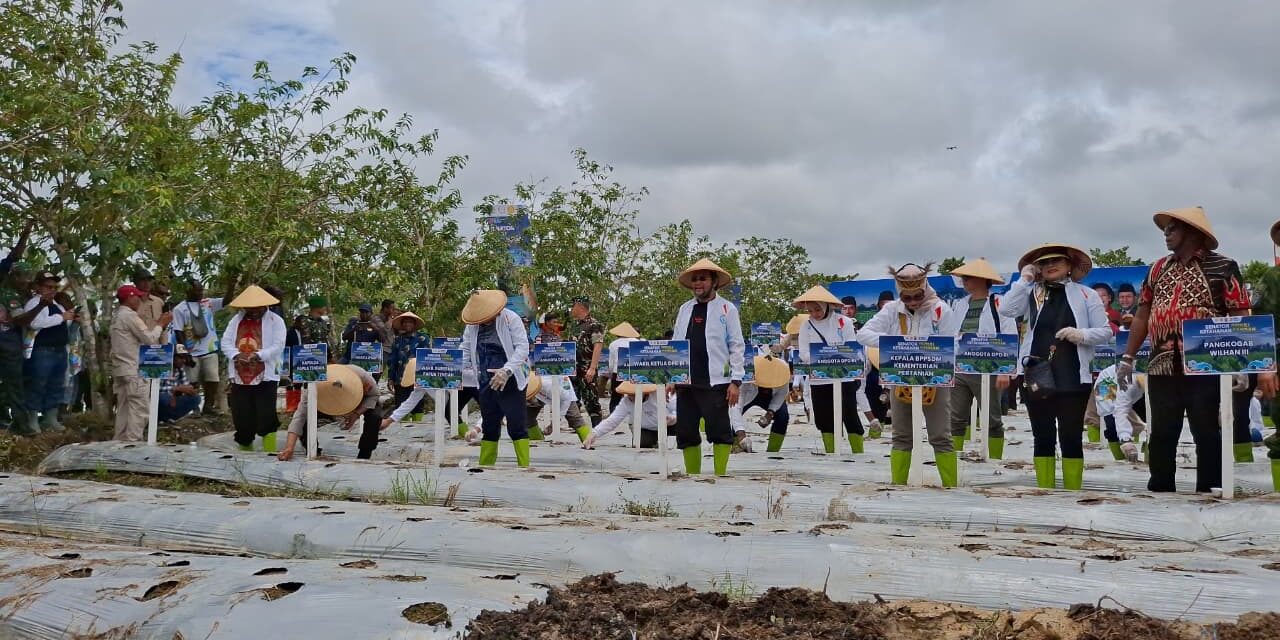 Pemerintah Papua Tengah Dukung Pengembangan Pertanian Berbasis Kearifan Lokal di Mimika