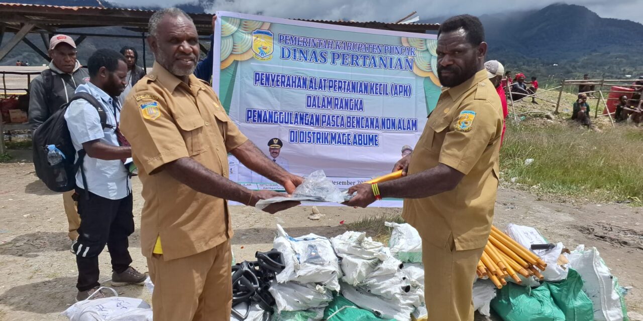 Dinas Pertanian Puncak Serahkan Bantuan Alat Pertanian Kepada Pengungsi di Sinak