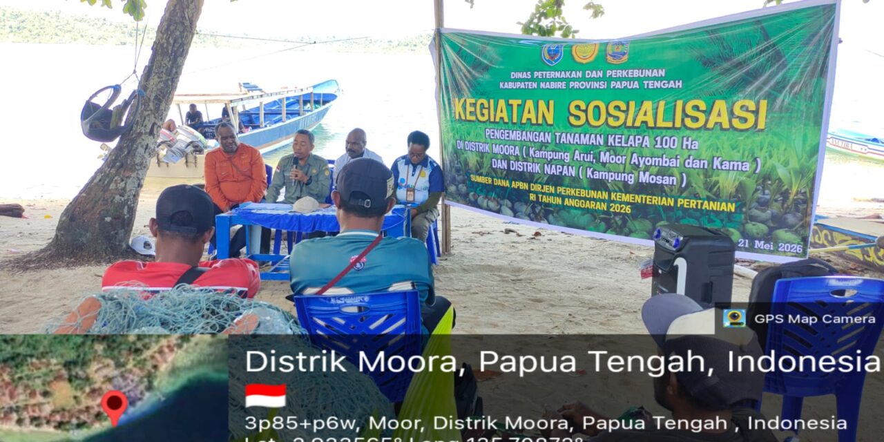 Pemprov Papua Tengah Sosialisasi Pengembangan Tanaman Kelapa Tahun 2026 di Nabire