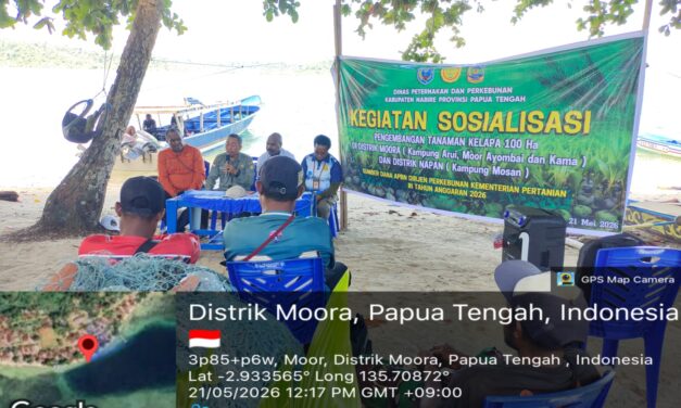 Pemprov Papua Tengah Sosialisasi Pengembangan Tanaman Kelapa Tahun 2026 di Nabire