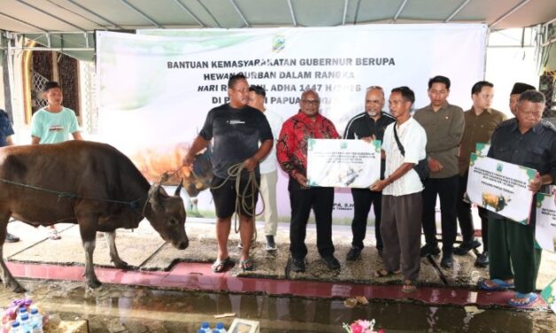 Gubernur Meki Nawipa Salurkan 26 Ekor Hewan Kurban Untuk Perayaan Idul Adha Warga Papua Tengah