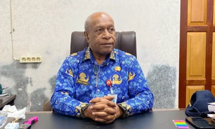 Pemprov Papua Tengah Realisasikan Program Papua Tengah Terang dengan Membangun PLTS Pedesaan