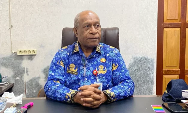 Pemprov Papua Tengah Realisasikan Program Papua Tengah Terang dengan Membangun PLTS Pedesaan