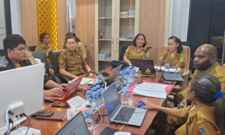 Pemprov Papua Tengah Matangkan Penyusunan Rapergub Penanggulangan HIV/AIDS dan TB