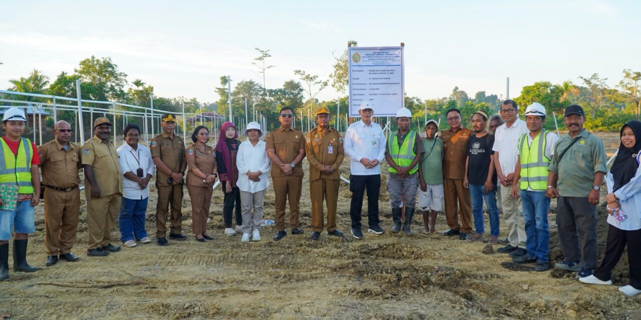 Dirjen Perkebunan Kementan RI Salurkan 3 Juta Bibit Kakao untuk Perluasan Lahan 3.000 Hektare di Nabire