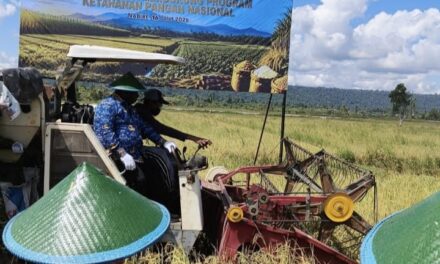 Gubernur Papua Tengah Minta Masyarakat Cintai Hasil Tani Lokal, Perkuat Ekonomi Daerah