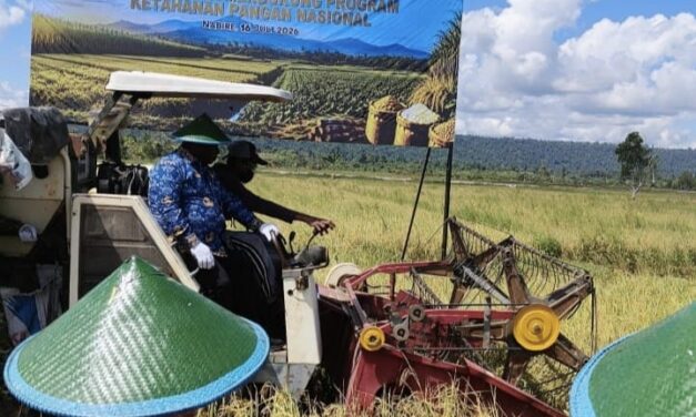 Gubernur Papua Tengah Minta Masyarakat Cintai Hasil Tani Lokal, Perkuat Ekonomi Daerah