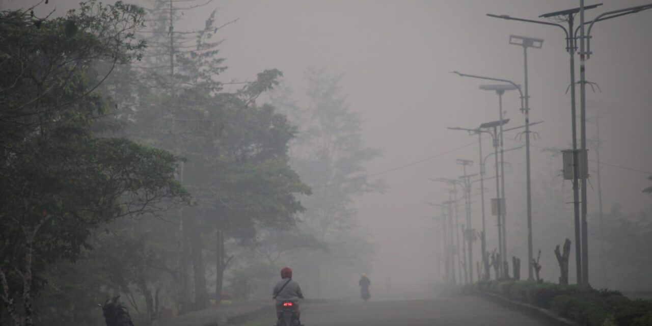 ‎Kebakaran Hutan Papua Selatan Lumpuhkan Penerbangan dan Ekonomi Kawasan, Asosiasi Bupati Pegunungan Desak Respon Cepat Pemerintah Pusat
