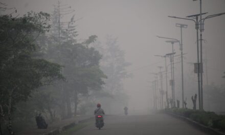 ‎Kebakaran Hutan Papua Selatan Lumpuhkan Penerbangan dan Ekonomi Kawasan, Asosiasi Bupati Pegunungan Desak Respon Cepat Pemerintah Pusat
